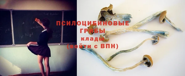 герыч Майский