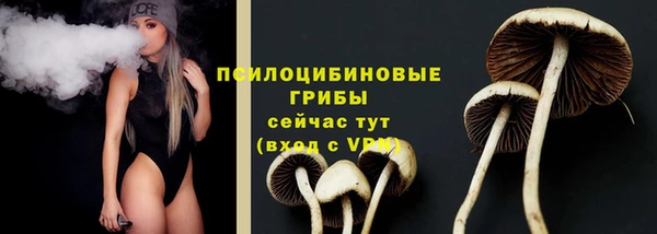 тгк Магадан