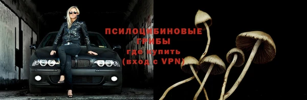 прущие грибы Липки