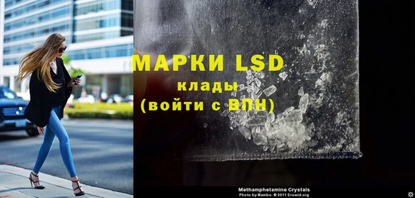 прущие грибы Липки