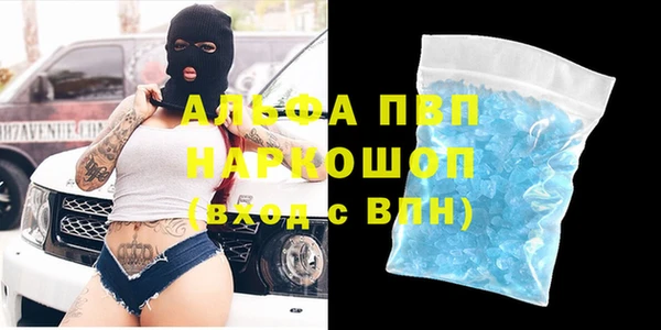 прущие грибы Липки