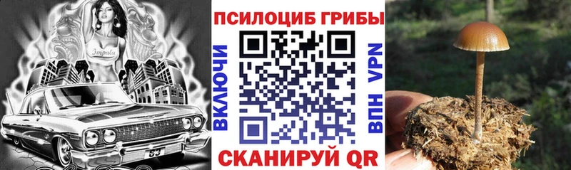 купить закладку  Старая Русса  Галлюциногенные грибы Cubensis 