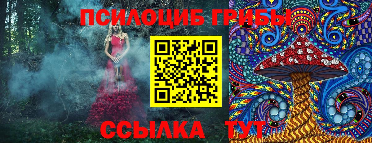 Псилоцибиновые грибы MAGIC MUSHROOMS Старая Русса