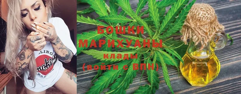 Бошки Шишки OG Kush  наркотики  Старая Русса 